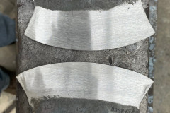 PANSCH-1