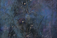 Tolle_1
