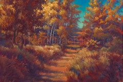 Daehlin-Mark_2